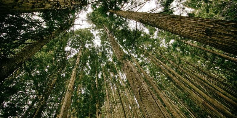 Why we build in-house: The Product Studio Model